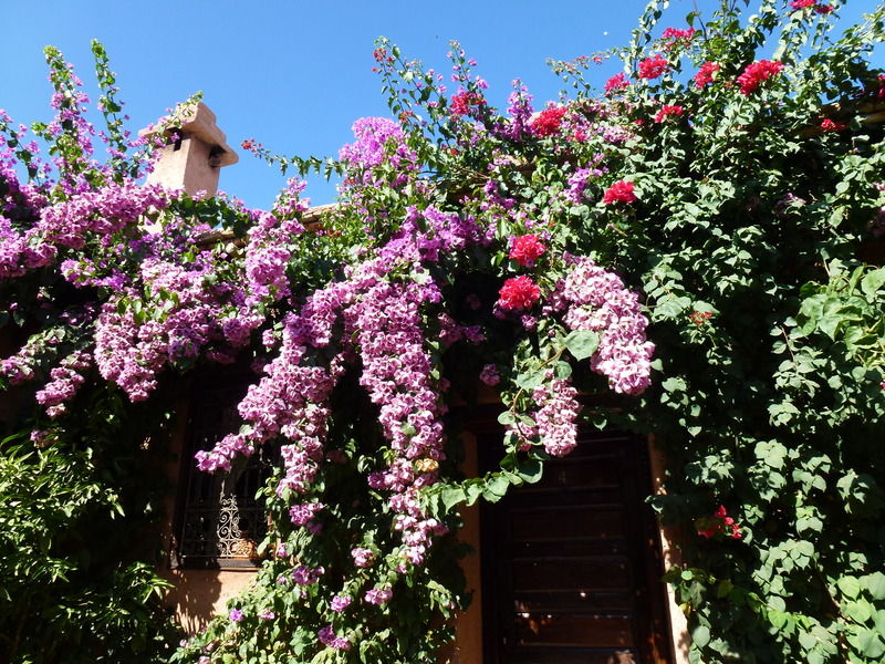 Auberge Chez Momo II Ouirgane Zewnętrze zdjęcie